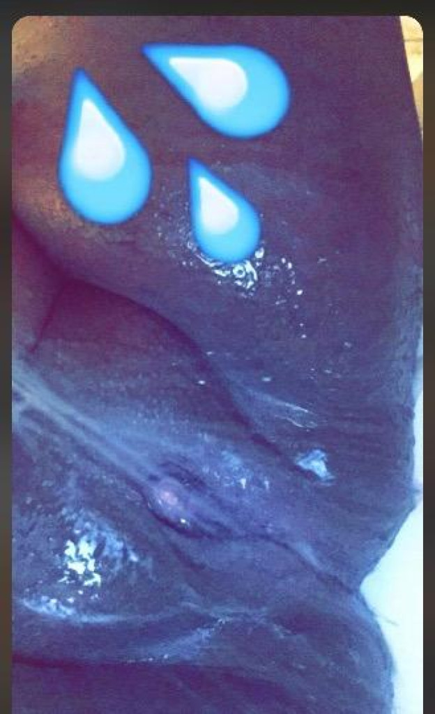 Let's Play photo 1