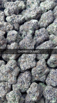 ⛽⛽🌜🌜🌜🌚🌚💨💨🌲🌲🌲🔥Real deal 420 Pressure HMU🌲🌲🌲🔥🌨🌨🌦💨 1Call away listing photo
