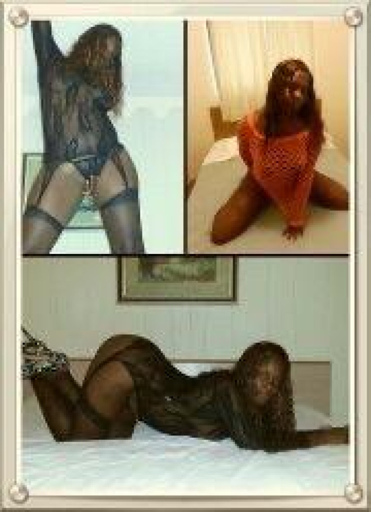 Mahoganni photo 1