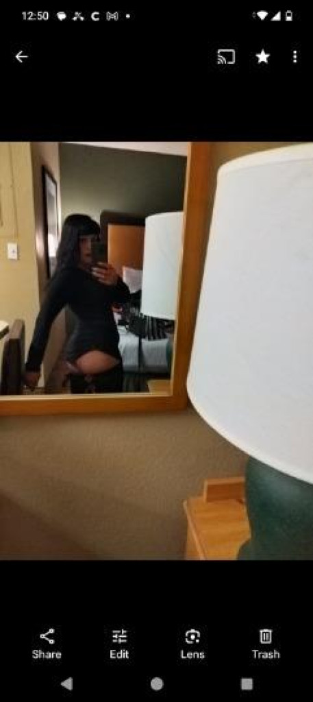 Taylor photo 1