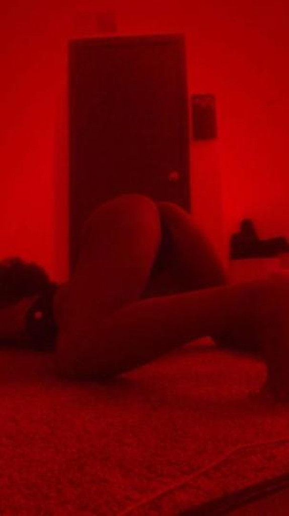 Rose photo 1