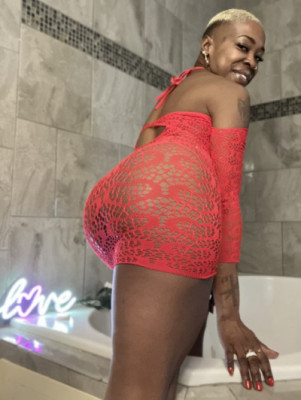 Sheba XRated listing photo