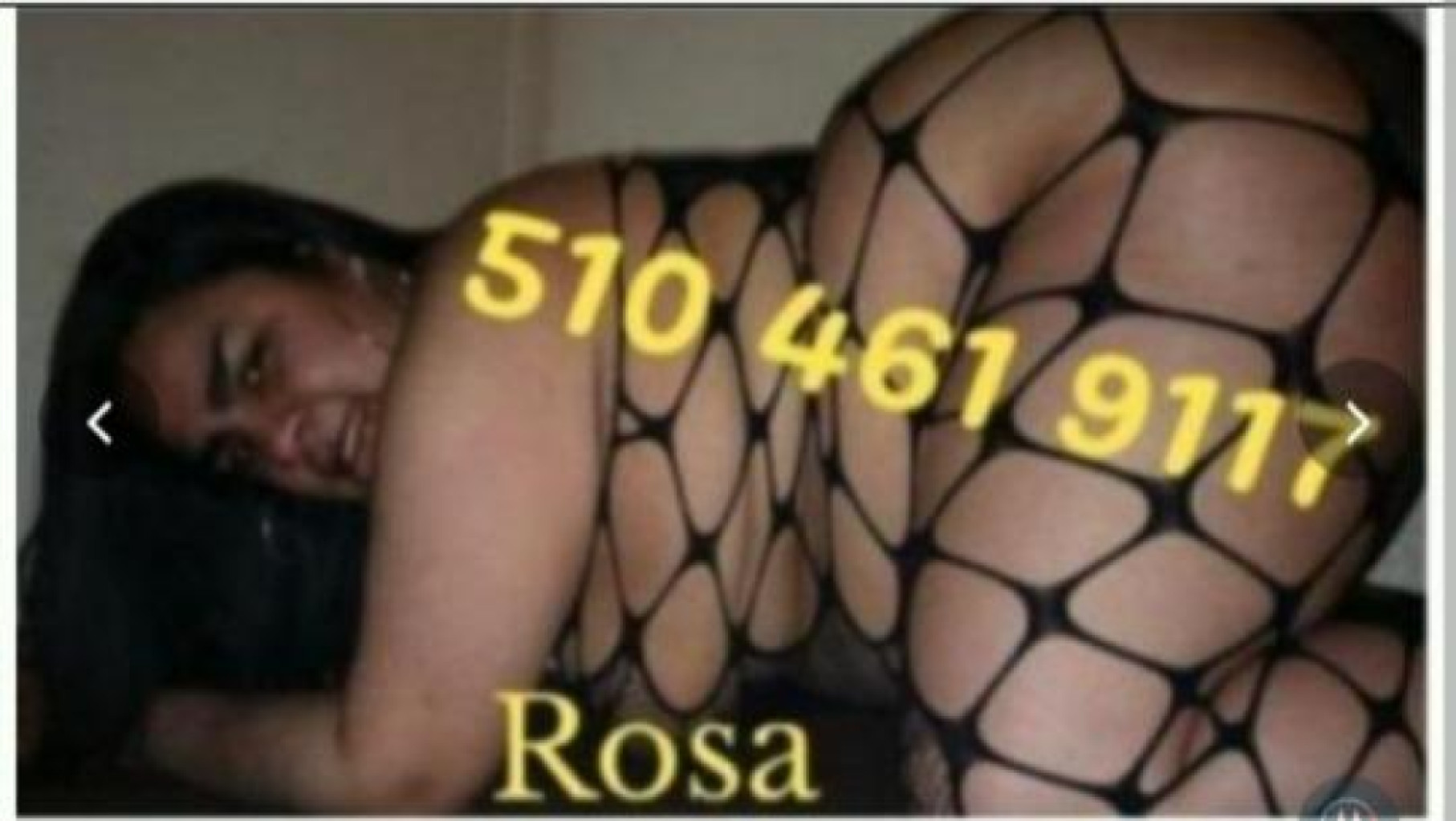 rosa photo 1