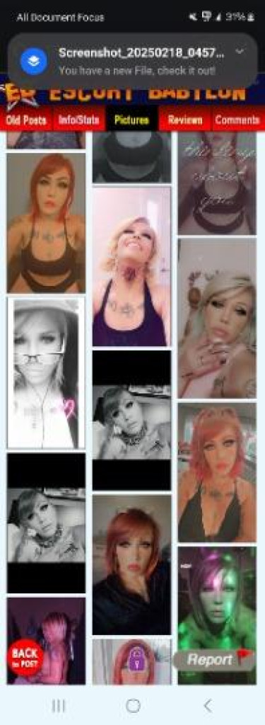 Monroe photo 1