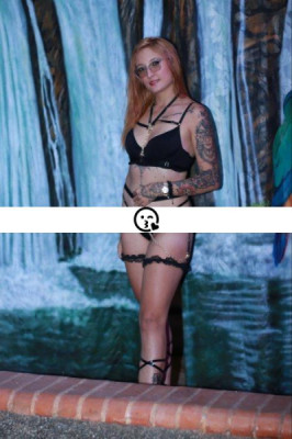 Venus listing photo