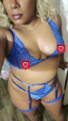 Katt listing photo