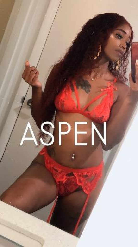 Aspen photo 1
