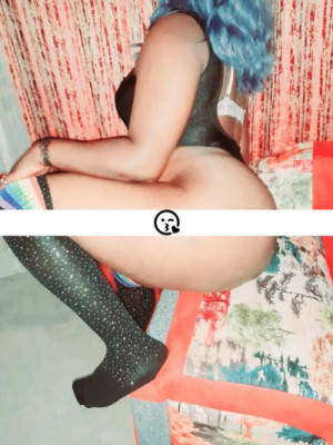 Gambi listing photo
