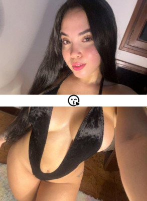 Stella listing photo
