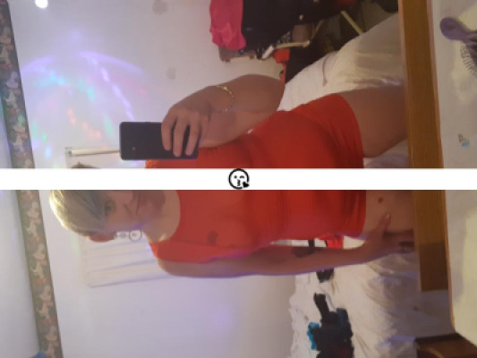 Harley Ryder listing photo