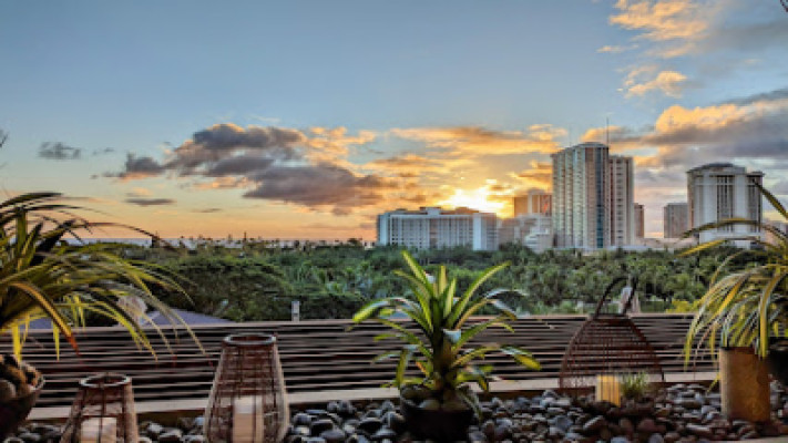 Vive la View\ listing photo
