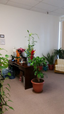 Natural Massage listing photo