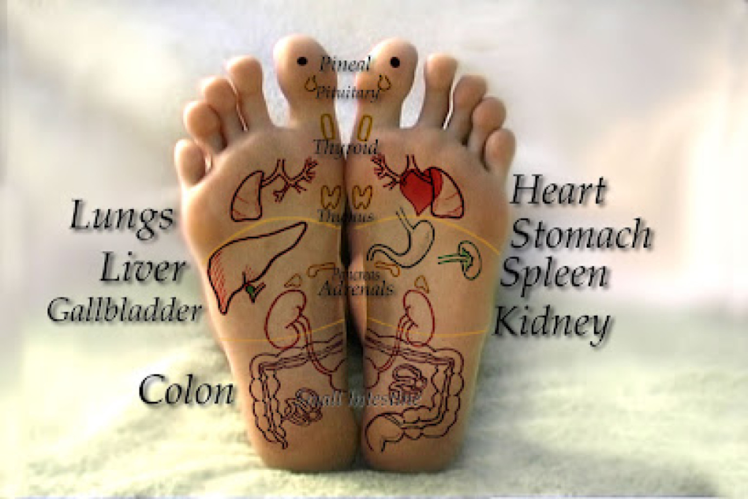 Amazing Foot Spa photo 1