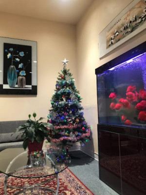 TMC Wellness listing photo