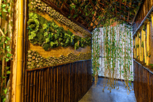 BamBoo Wellness listing photo