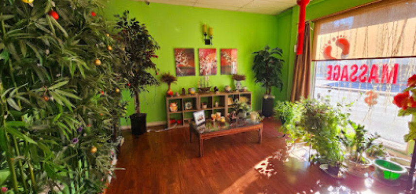 Natural Health Spa listing photo
