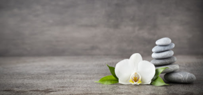 Bamboo Day spa listing photo