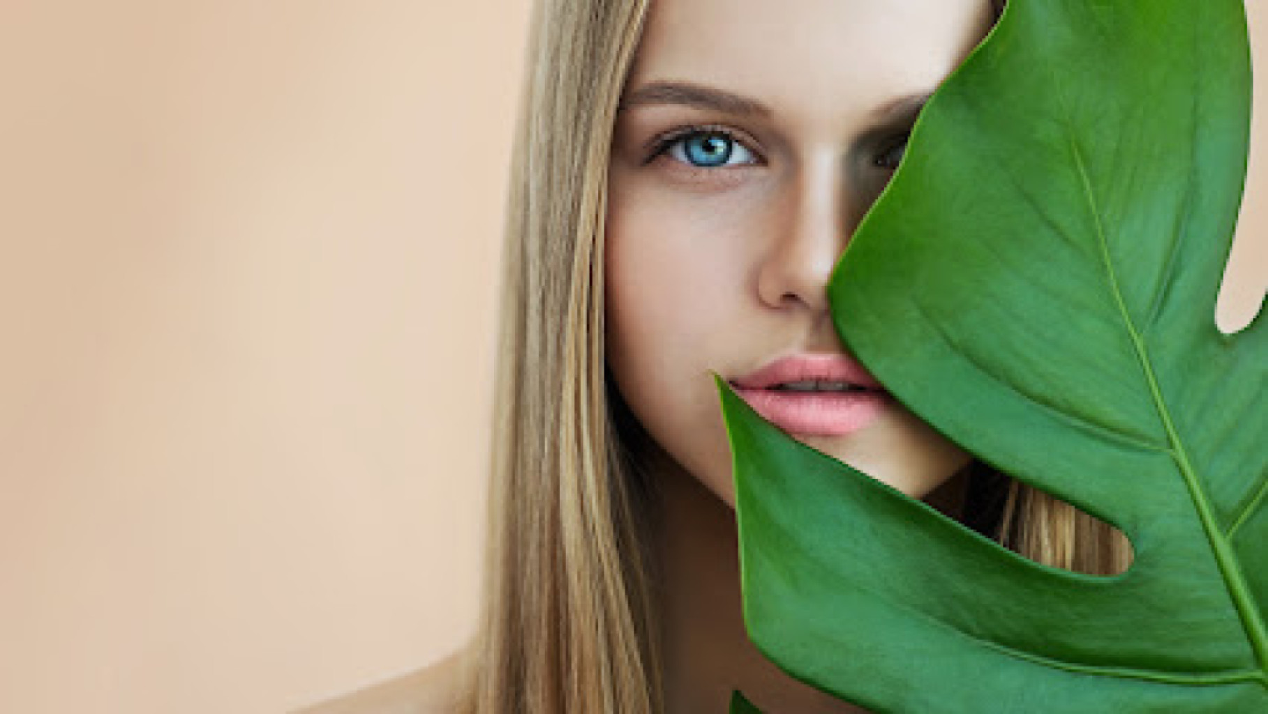 Lemon Tree Spa photo 1