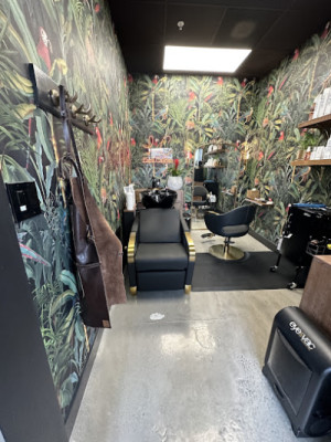 The Red Carpet Salon at New Leaf Plaza listing photo