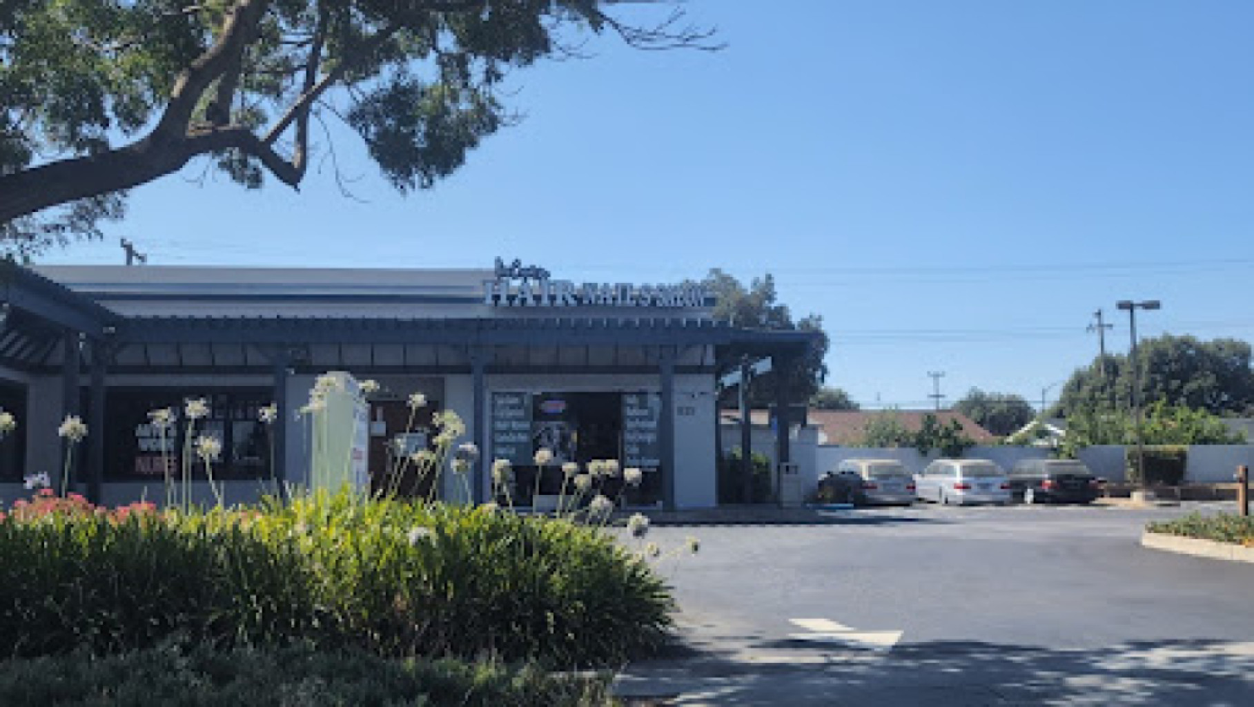 New Creation Salon photo 1
