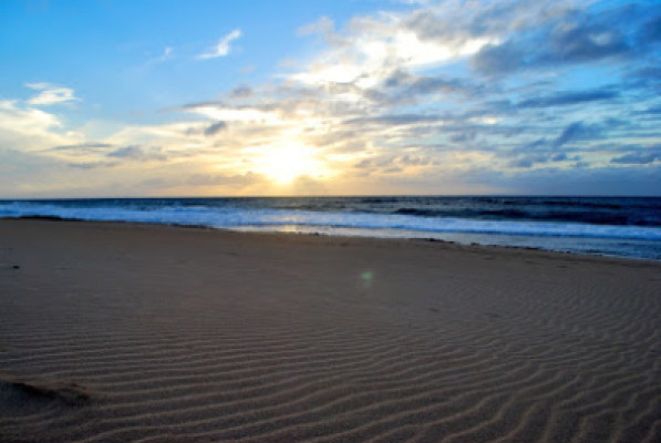 Sunshine Therapy listing photo