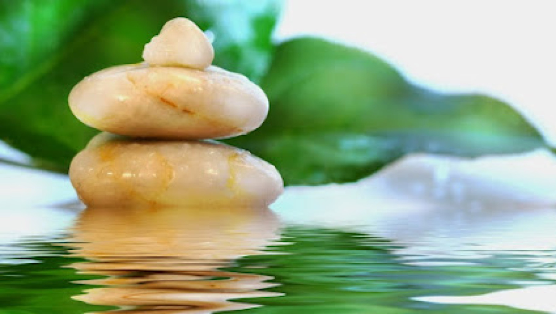Tranquility Mind & Body Wellness Spa photo 1