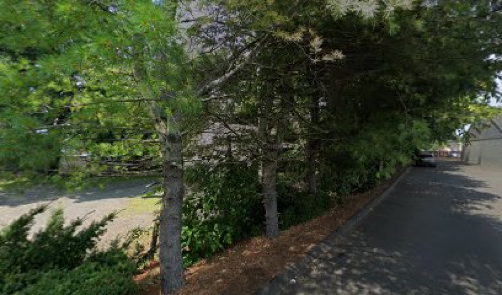Sunny Spa photo 1