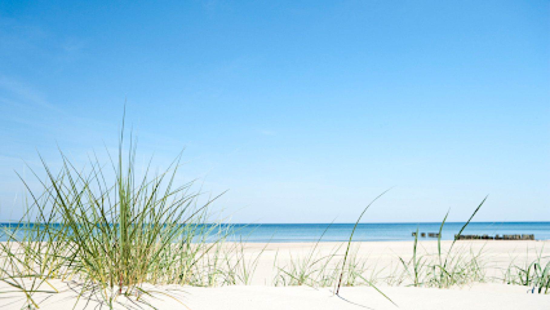 Beach Therapeutic Massage & Spa photo 1