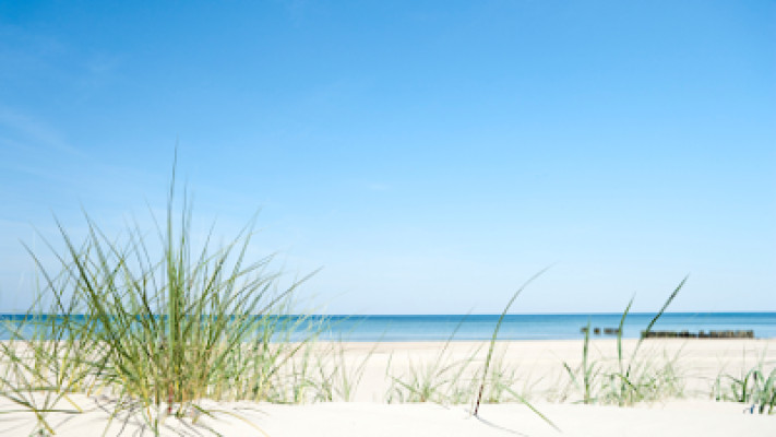 Beach Therapeutic Massage & Spa listing photo