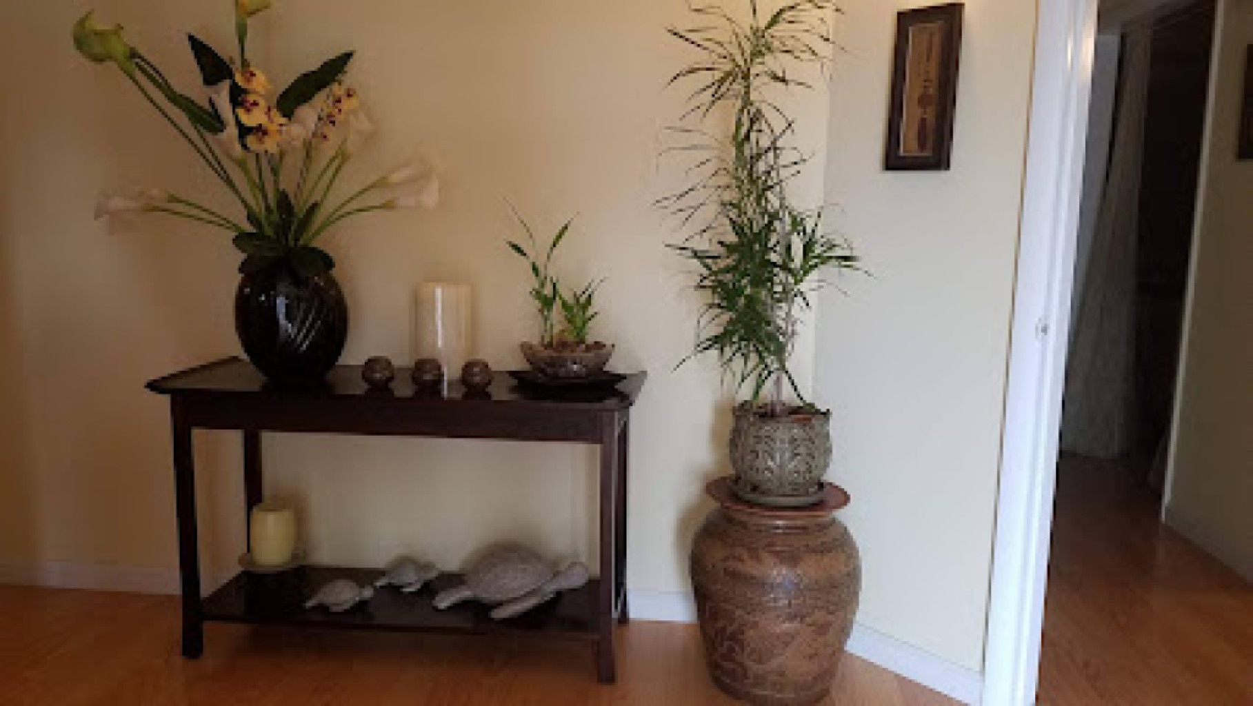 Boca Haven Spa photo 1