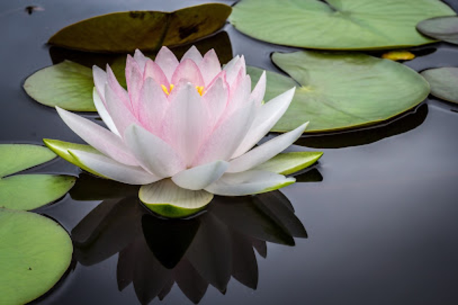 Soothing Oasis Massage photo 1