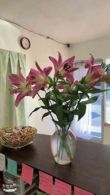 77 Professional Massage listing photo