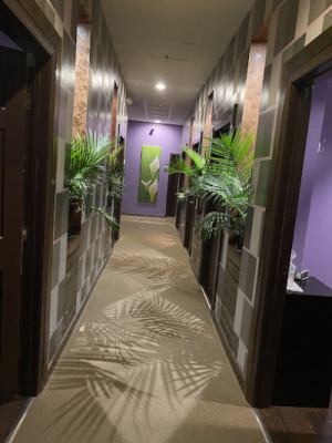 Spring Massage listing photo