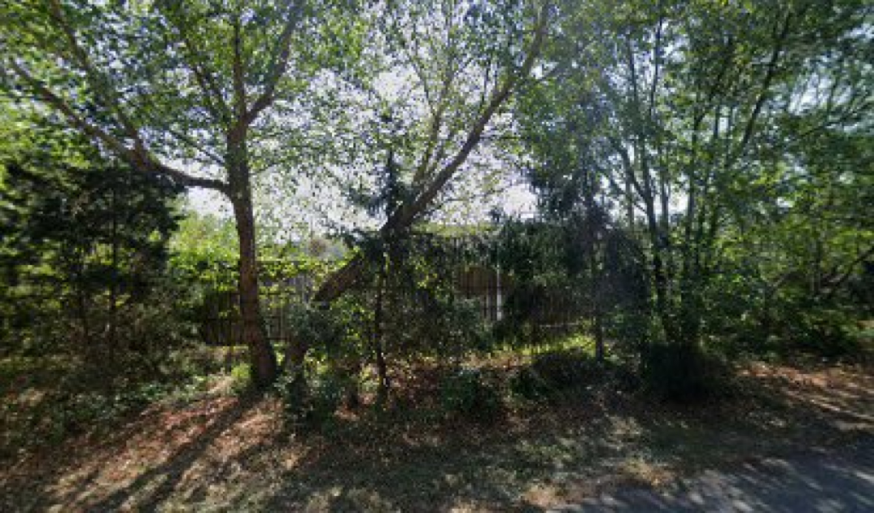 Tai Chi Spa photo 1