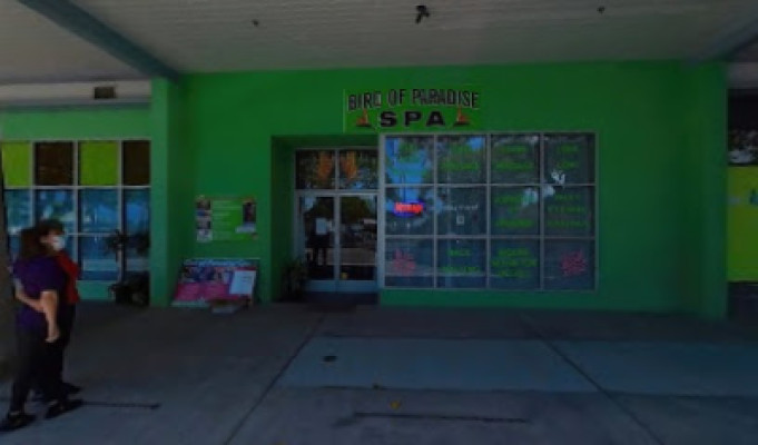 Bird of Paradise Massage listing photo