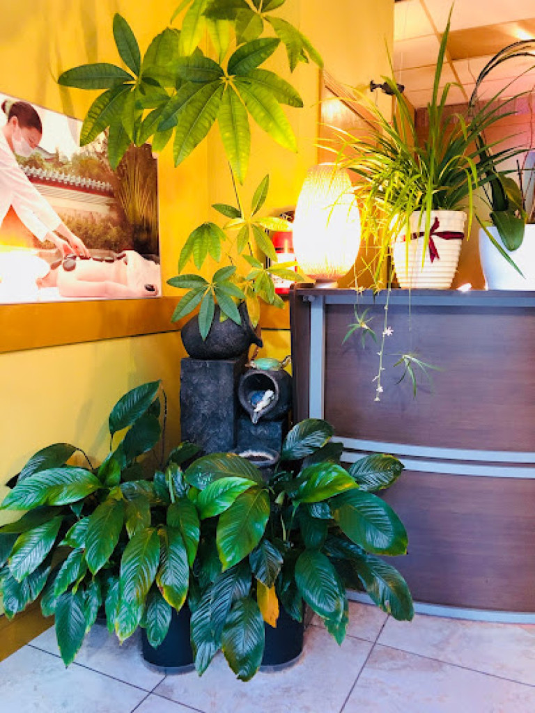 Lotus Spa photo 1