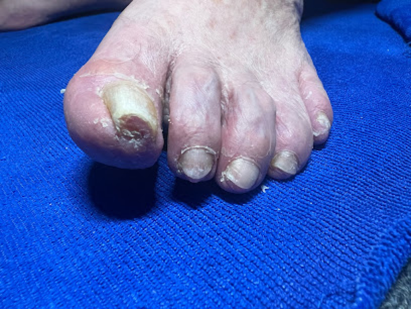 Ginger Foot Spa photo 1