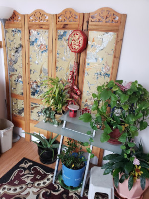 Z foot Spa listing photo