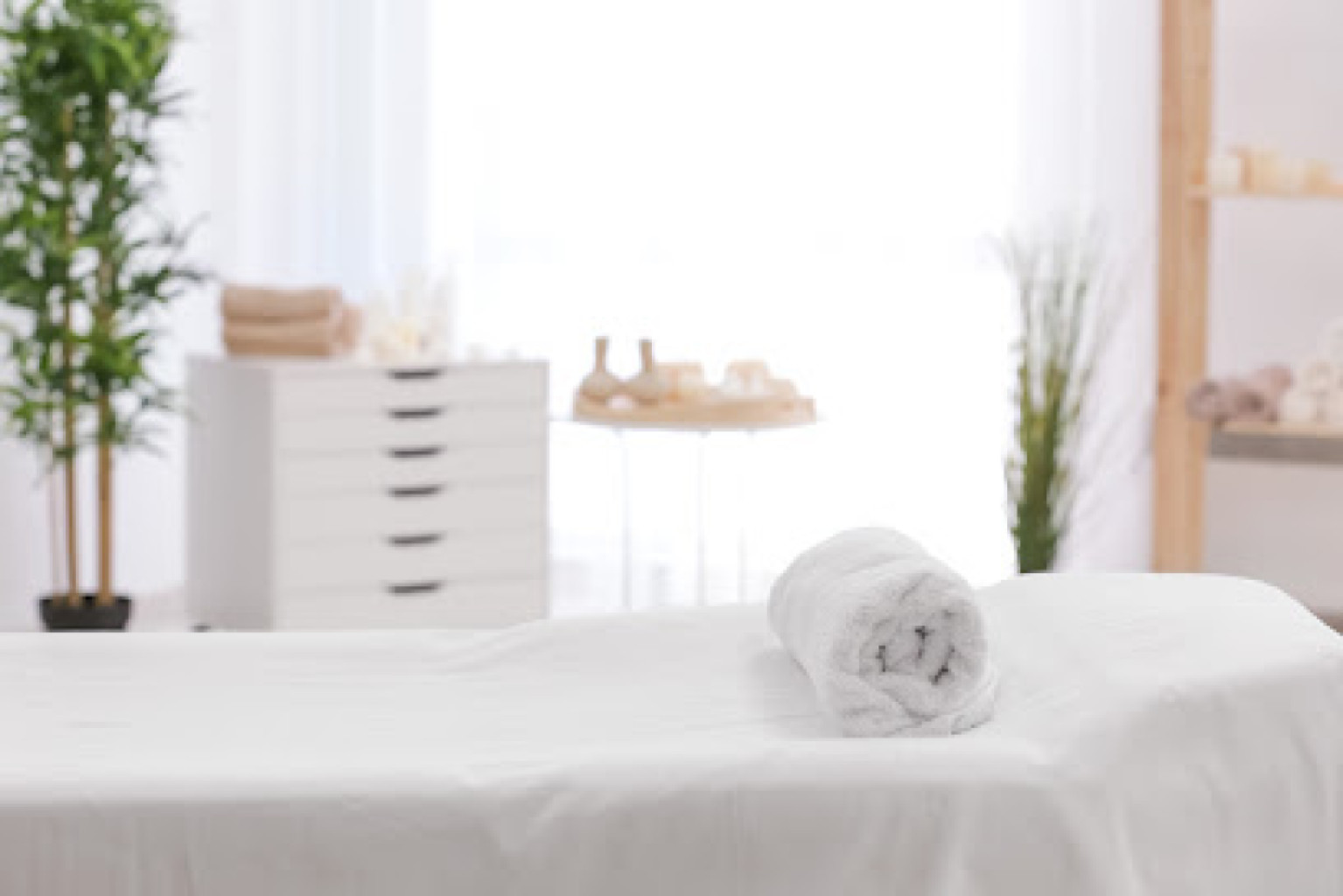 Healing Hands Massage and Wellness photo 1