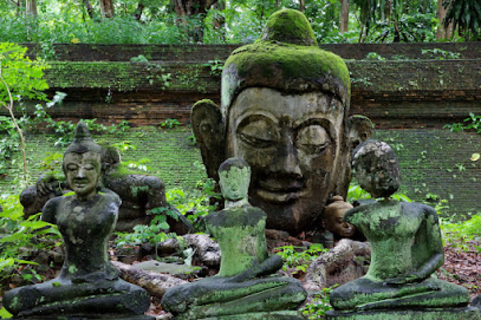 Third Eye Thai photo 1