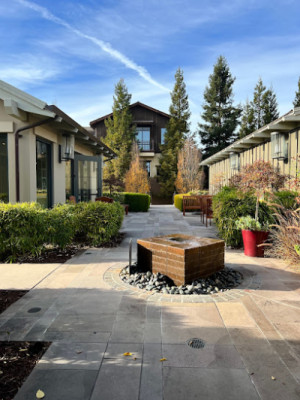 Remedy Spa listing photo
