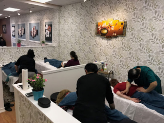 TLC Massage and Spa listing photo