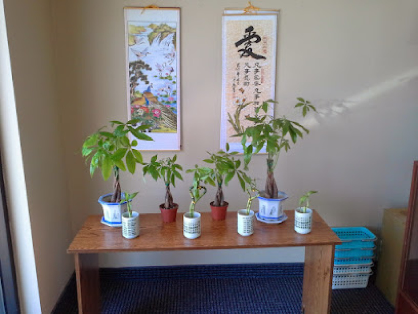 Bamboo Massage photo 1