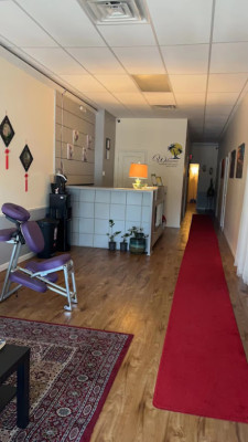 Palm Tree Massage listing photo