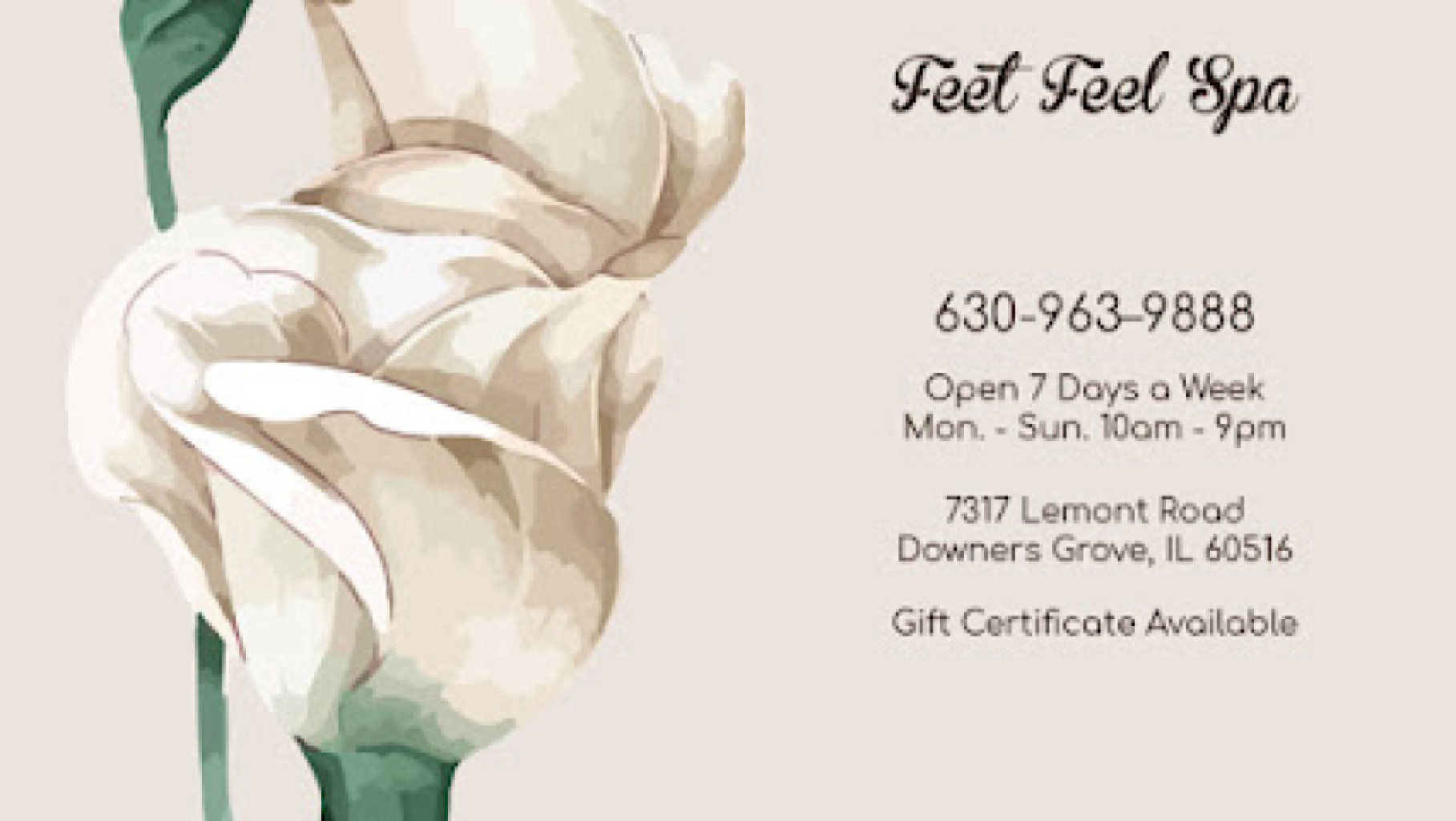 Feet Feel Spa photo 1