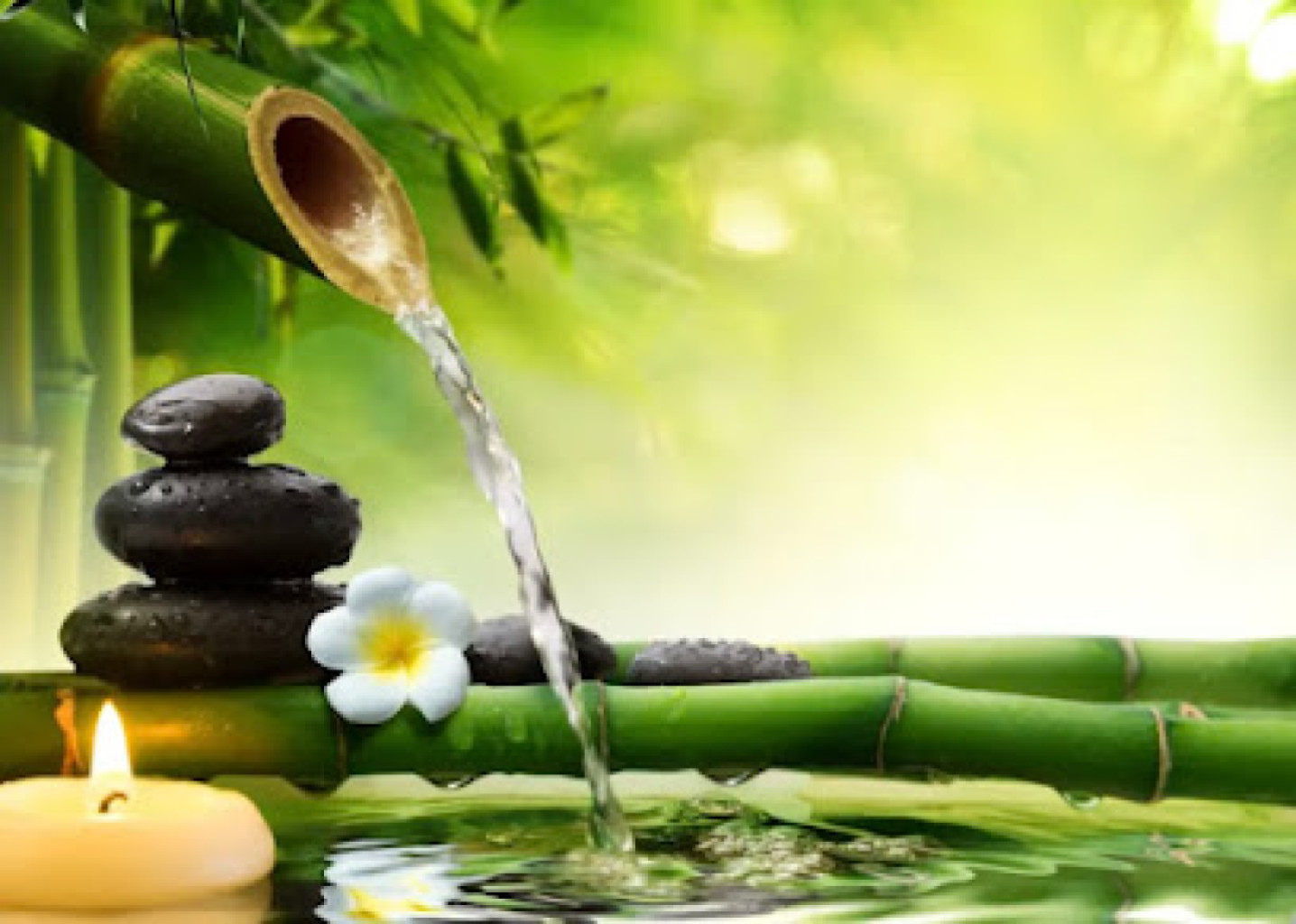 Sunshine spa photo 1