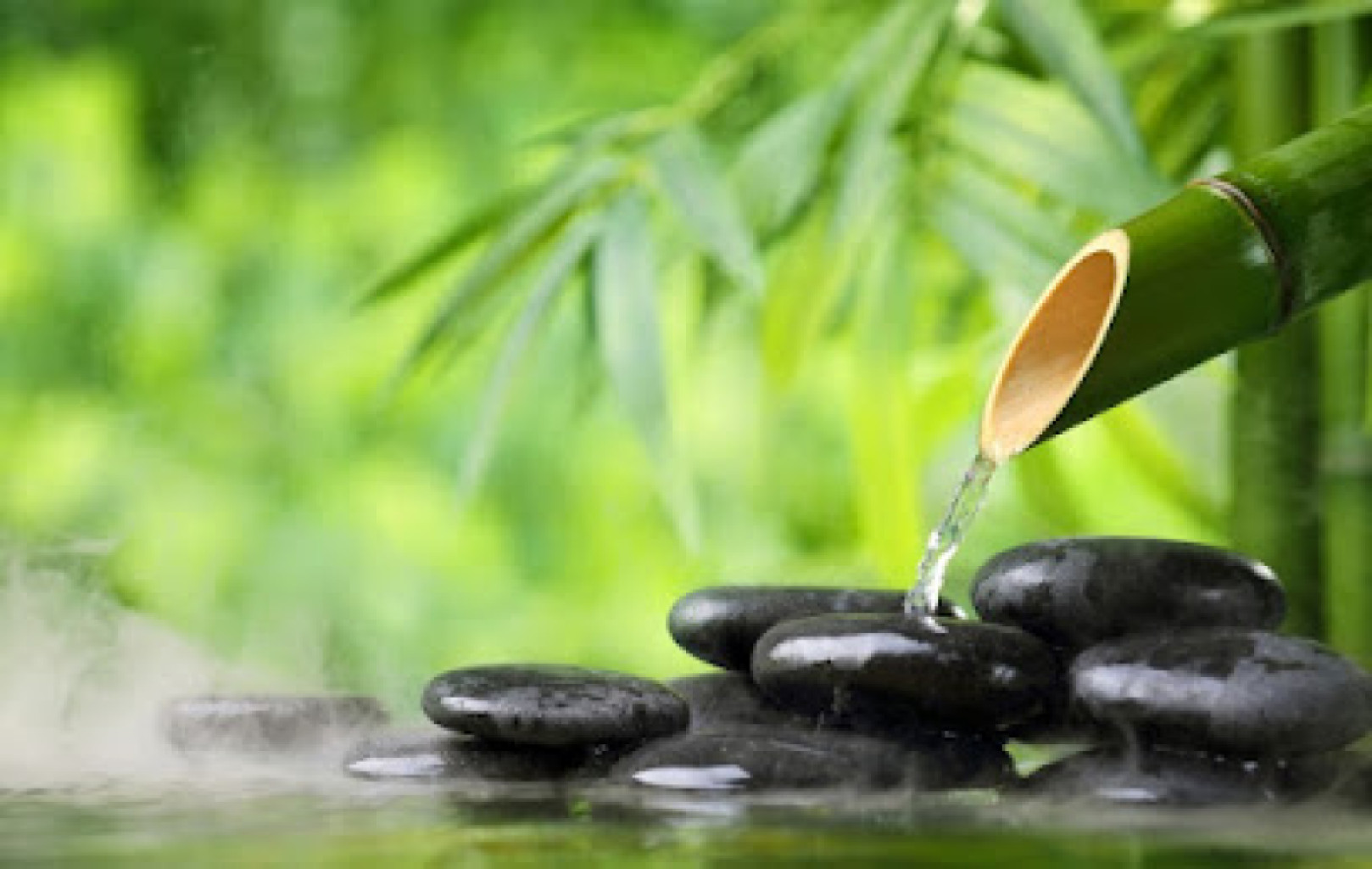 Coco Spa photo 1