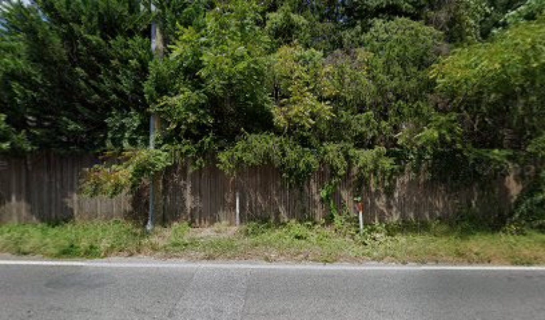 Greyline photo 1