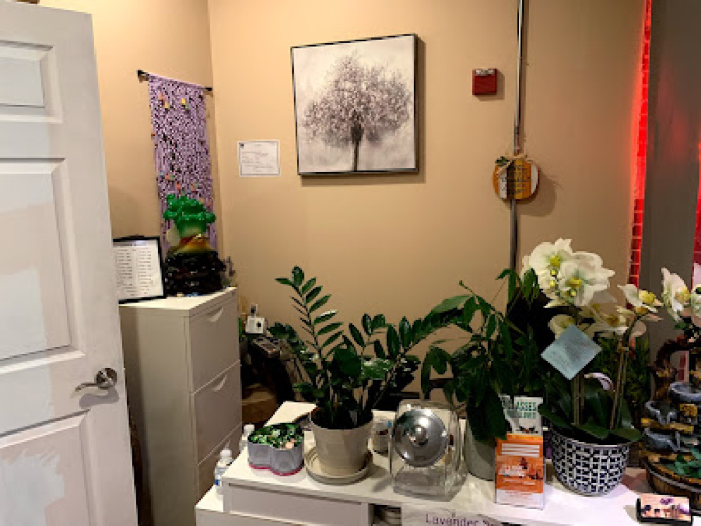 Lavander Spa photo 1