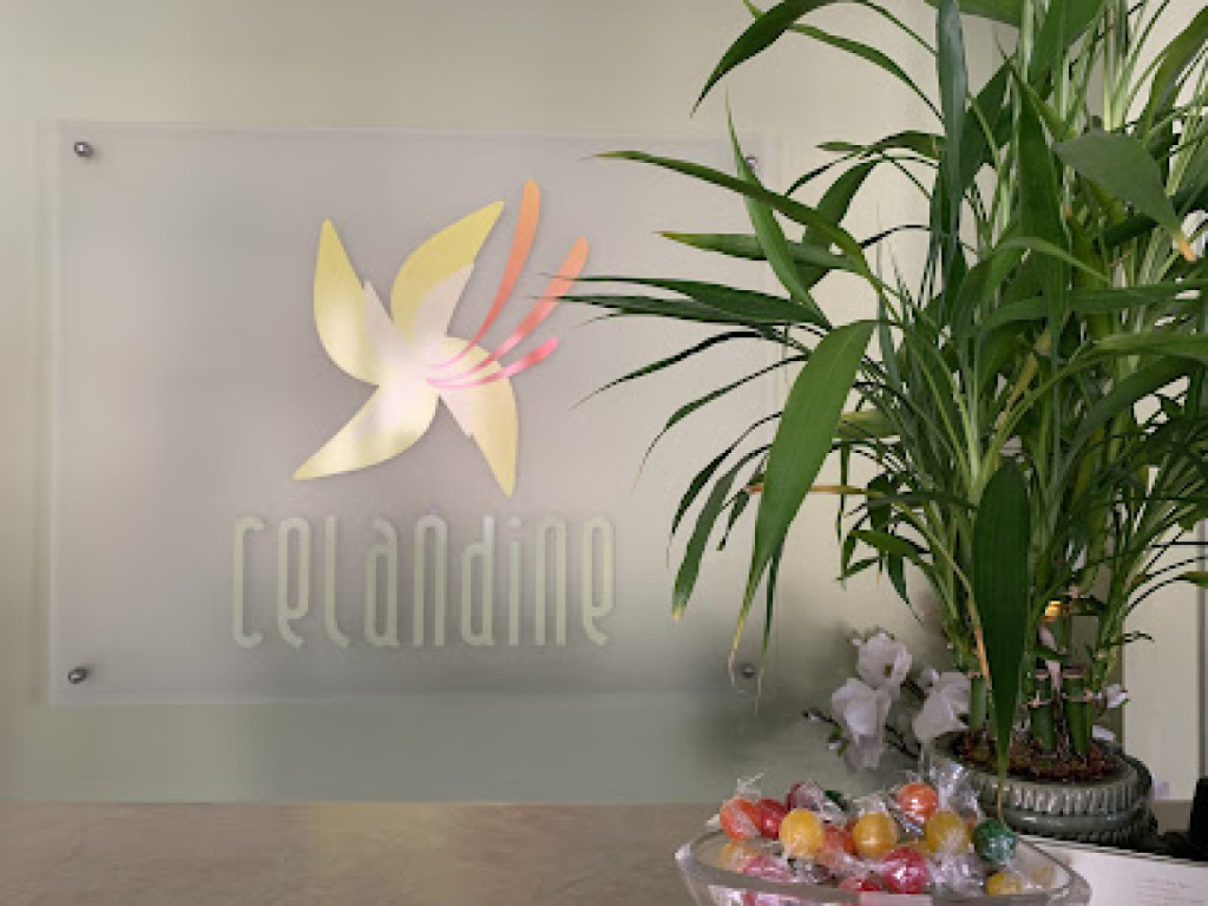Celandine Day Spa photo 1